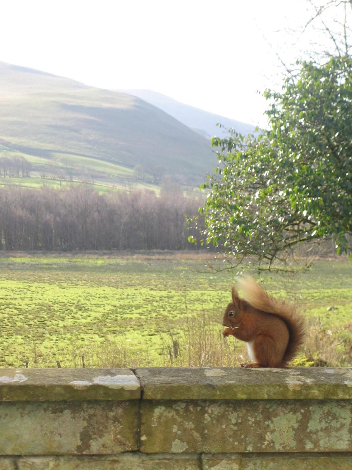 Overwater Hall Bassenthwaite Esterno foto